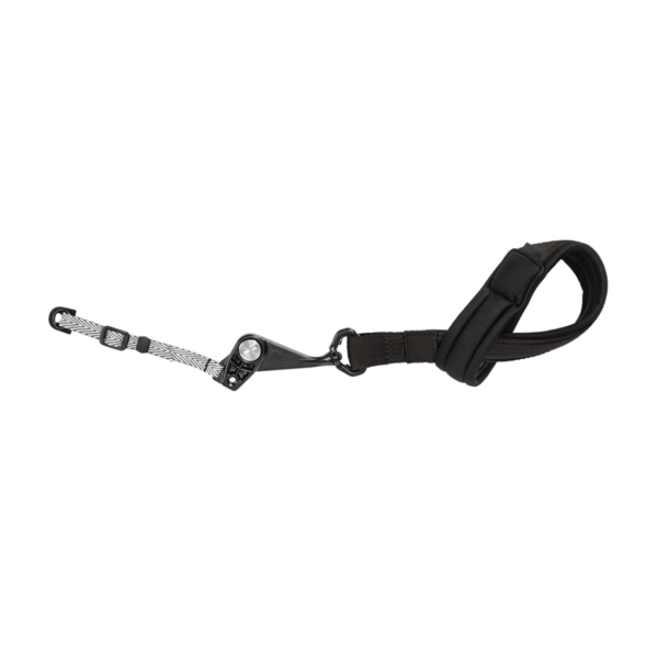 Brown belt - Image 2